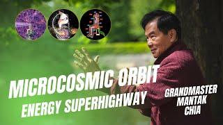 What is the microcosmic orbit? Body's energy superhighway explained by Grandmaster Mantak Chia