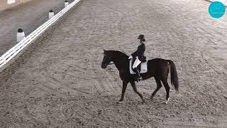 Мария Дорофеева и Феррари, FEI Dressage World Challenge, Личный приз дети,64,782%. Алматы,01-10-2023