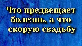 Что предвещает болезнь, а что приход гостей и скорую свадьбу. Народные приметы и суеверия.