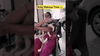 Ruby makeup time  #dogshorts #husky #huskylovers #huskydog #dog #funny #cutepuppy #shortsfeed