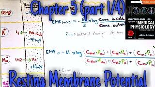 Resting membrane potential - chapter 5 (part 1/4) - Guyton and hall text book of medical physiology.