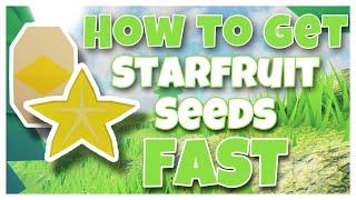 HOW TO GET STARFRUIT SEEDS FAST IN ISLANDS | Roblox