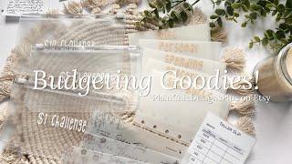 New Budgeting Goodies! From PlainChicDesignsPlus