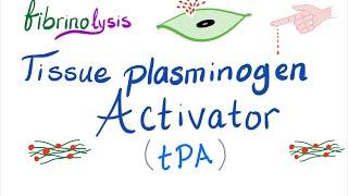 Tissue Plasminogen Activator (tPA)