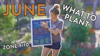 Must-Plant Crops for Your June Garden in Zones 9 & 10