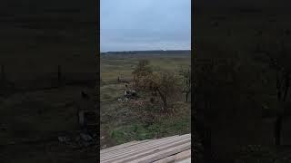 моя новая крыша #своимируками #стройка #ремонт #ремонтвдоме #деревенскийдом #восстановлениедома