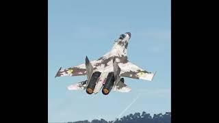 This pilot's skills are too amazing! Sukhoi SU-27 Ghost