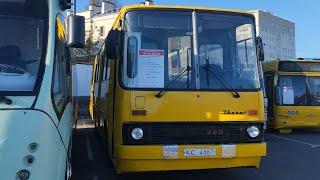 Обзор на Ikarus - 280.08 в музее Минского городского пассажирского транспорта. (19.10.1024)