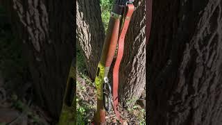 Henry 44 Magnum