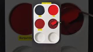 Create 4 colors from 2 colors : Black + Red #mix #asmr #colors #colormixing #mixing #amazing