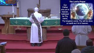 St. Michael-Wayne - Second Sunday After the Epiphany (Life Sunday) - 1/19/2025 at 8:30 AM