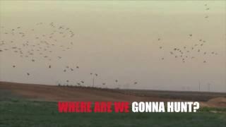 Hall of Game TV - Where are we Gonna Hunt?