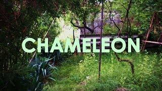 Chameleon - Teaser