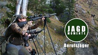 THE PROFESSIONAL HUNTER | Chamois hunting in the Bavarian mountains