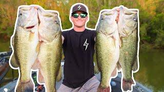 RECORD DAY OF BASS FISHING (UNBELIEVABLE)