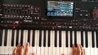 Alex Rasov - Just TO Be in Love / Danekoo1 & Euro Korg Pa4x