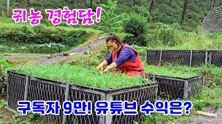 Farming Experience! Mountain Women Subscribers 90,000 YouTuber Income