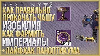 Destiny 2 КАК КАЧАТЬ ЧАШУ ФАРМ ИМПЕРИАЛОВ ЛАЙФХАК ПАНОПТИКУМА