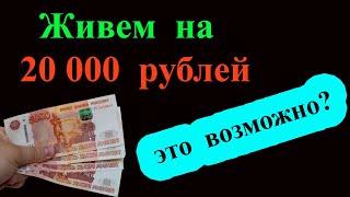 Мы выживаем на зарплату в 20 000 рублей в месяц!