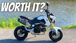 First Ride On A Honda Grom! Should I FINALLY Buy One?!