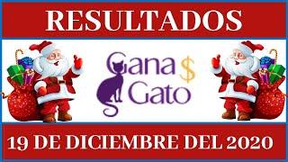 Lotería Gana Gato resultados de hoy 19 de Diciembre en todas las #LoteríasMexicanas