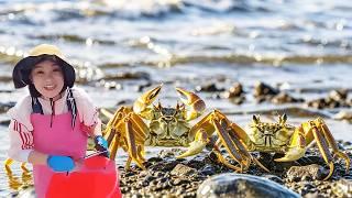 Small chapter catch the sea harvest! Rainbow abalone full basket