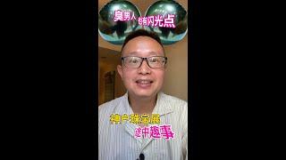 神户国际珠宝展途中趣事：臭男人也有闪光点