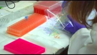Grace Eckhoff and the Freshman Research Initiative
