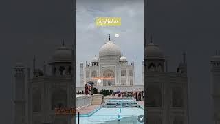 Taj Mahal live show ️#tajmahal#islamic#islamicshorts#youtubeshorts#shorts
