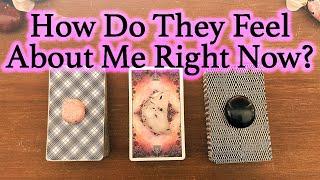 WHAT DOES HE/SHE THINK AND FEEL ABOUT ME RIGHT NOW?| Pick A Card | Love Tarot Reading (Timeless)