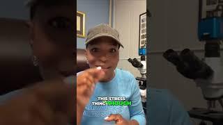 Detox Your Stress! BellaBody's Secret to Inner Transformation
