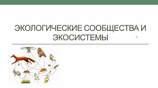 Сообщества и экосистемы. Цепи питания