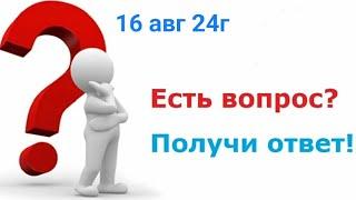 Вопросы и Ответы. 16 авг 24г