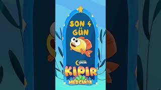 Kıpır kıpır bir macera başlıyor! ‍️ #Mercanya