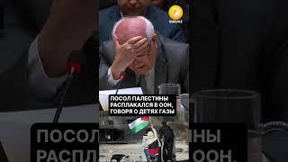 Посол Палестины расплакался в ООН, говоря о детях Газы