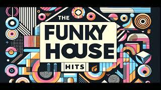 Funky House Hits Mix By DJ Lena