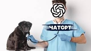 Вылечит ли ChatGPT моего МОПСА?