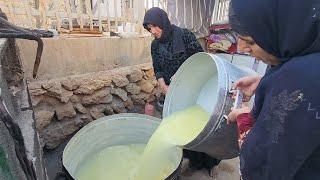 "Journey into Darkness: Zuleikha's Pain and Heart in Search of Hassan's Cure"tir