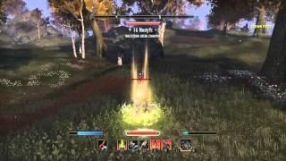 The Elder Scrolls Online: Bios26 vs NastyYc  --   Ferocious leap bugged