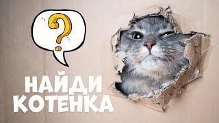 игра в прятки НАЙДИ КОТЕНКА или ЩЕНКА | Животные для детей | Развивающие мультики для малышей