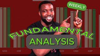 FOREX Weekly FUNDAMENTAL Analysis for BEGINNERS