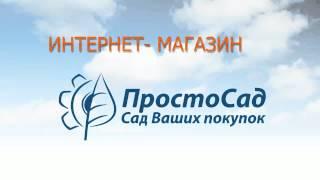 Интернет магазин ПРОСТОСАД