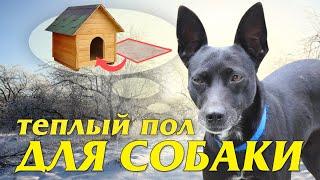 Теплый ИК пол для собаки и других целей.