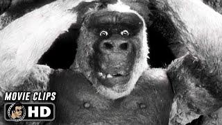 SON OF KONG "Meeting the Ape" Clips (1933)