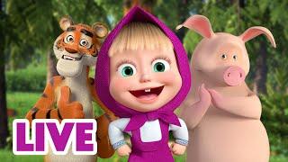  LIVE STREAM  Masha and the Bear ‍️ Jump, Skip and Hop together 