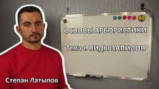 Степан Латыпов Беларбо Виды запилов ветвей и стволов - Основы арбористики. Тема 1