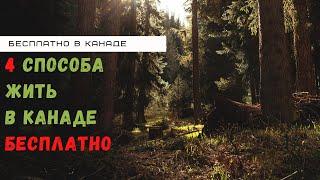 4 СПОСОБА ЖИТЬ В КАНАДЕ АБСОЛЮТНО БЕСПЛАТНО / БЕСПЛАТНАЯ АРЕНДА КВАРТИРЫ В КАНАДЕ