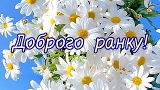 Доброго ранку! Добрий день! Гарного дня! #доброго_ранку