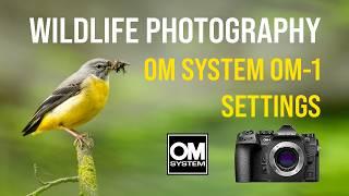 OM System OM-1: Camera Settings for Wildlife Photography