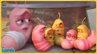 LARVA CARTOONS FULL EPISODE: BIG FAMILY | CARTOONS FULL MOVIE | FUNNY CARTOON COMPILATION